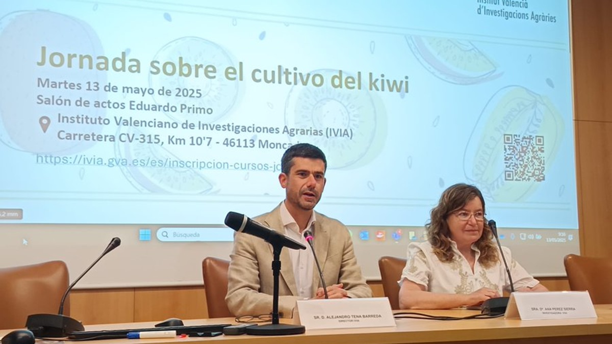 Expertos debaten el futuro del kiwi en condiciones mediterráneas en el IVIA|20250513_092343|20250513_092343|20250513_095302|20250513_104654|20250513_113542|20250513_115246|20250513_123057|20250513_123902